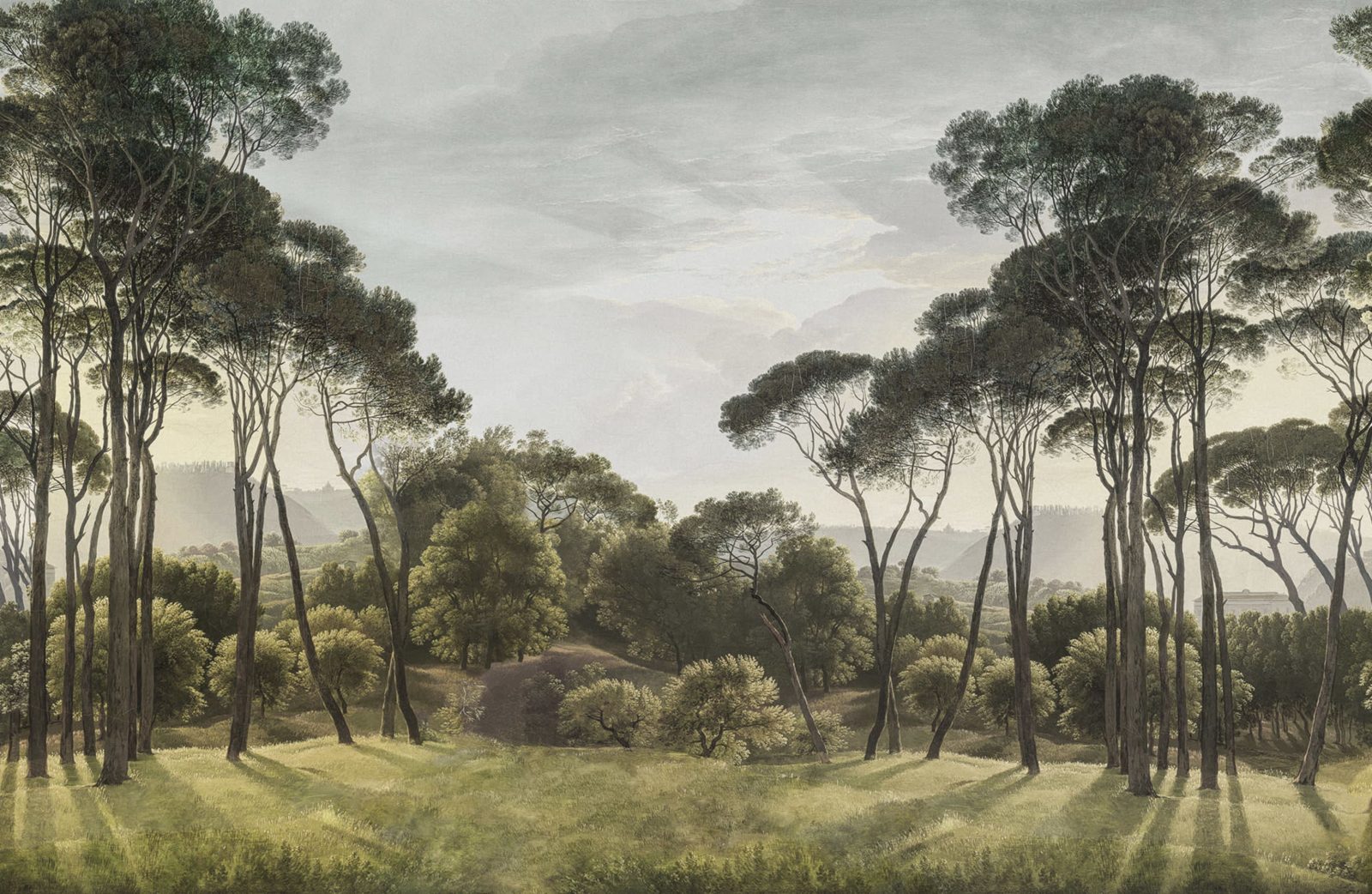 Pine Wood, Green, Rebel Walls
