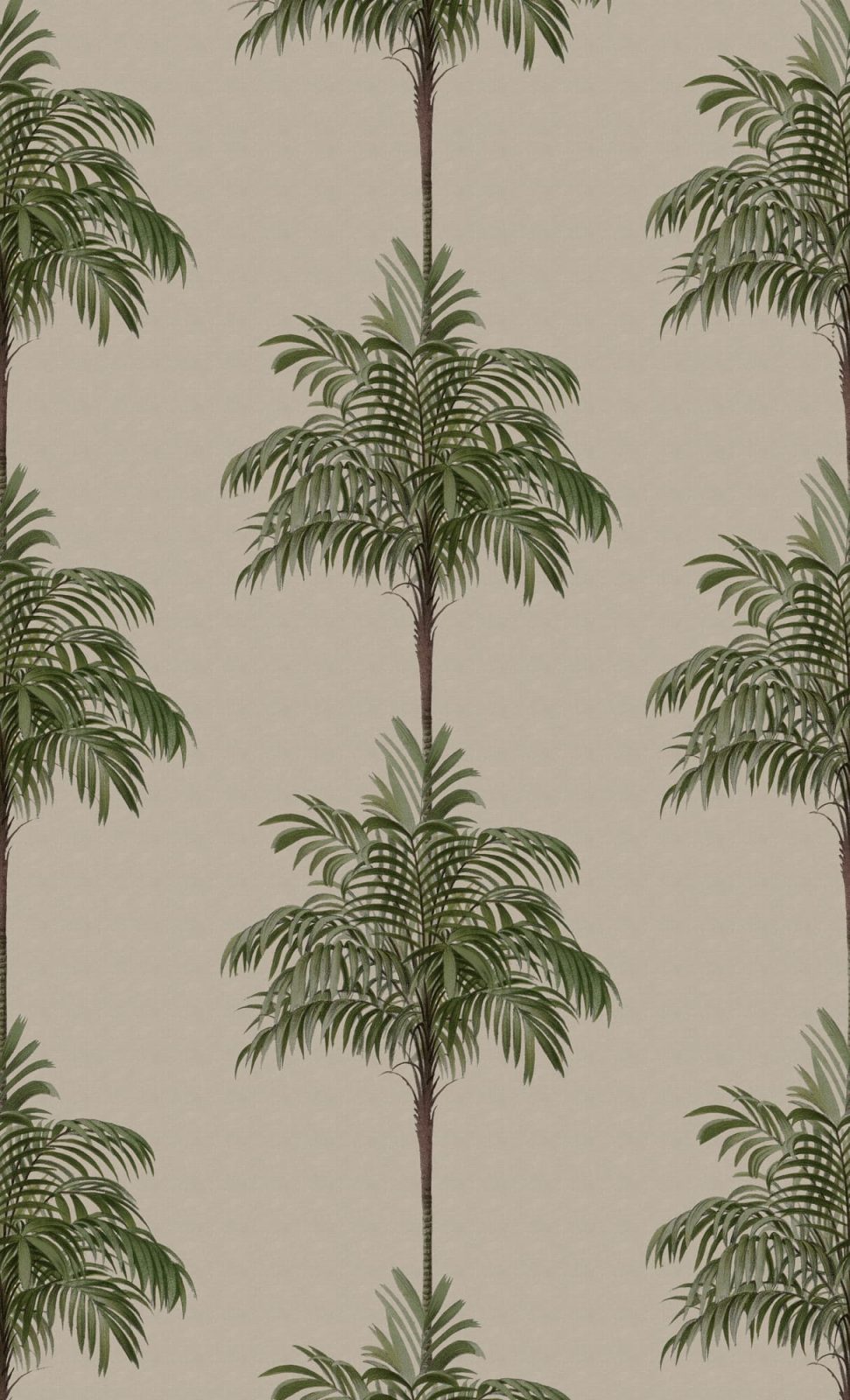 Palm Stripes, Vintage, Rebel Walls