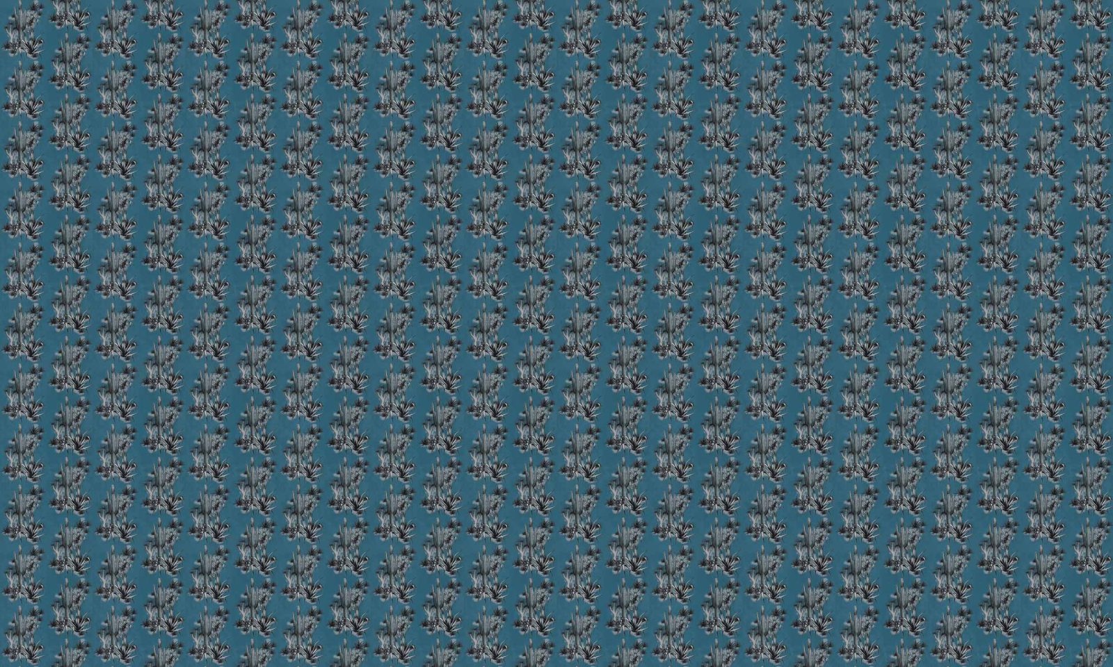 Grand Canyon, Blue, Coordonne 5mp / rola 3