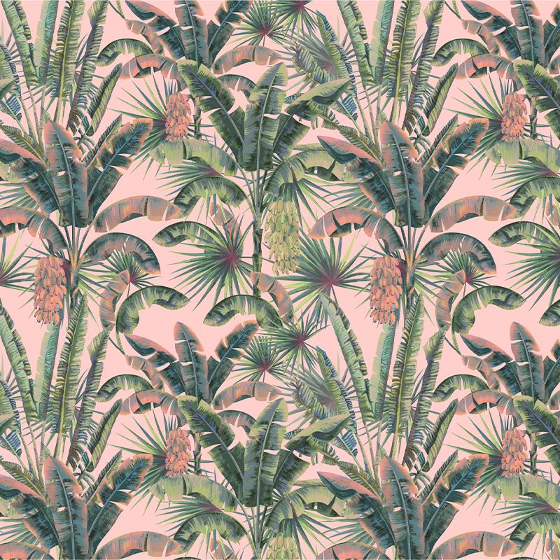 Blush Groove in Coral, VLAdiLA