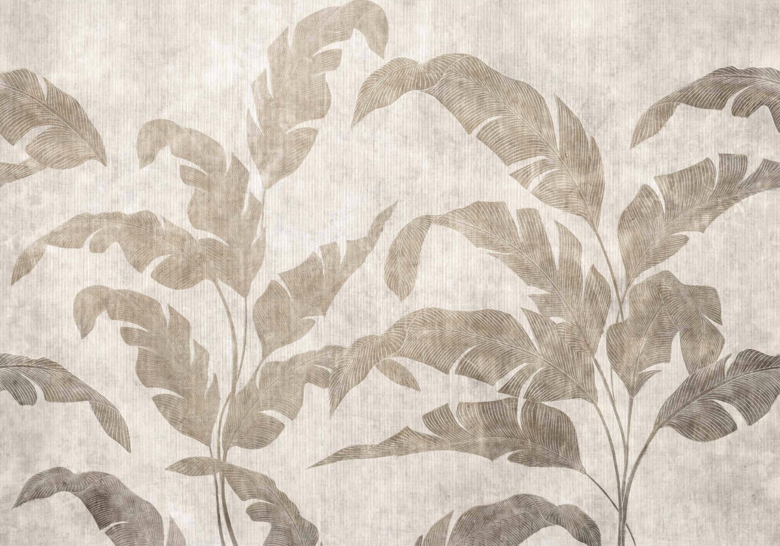 Leaves Shadow, Stone, Coordonne