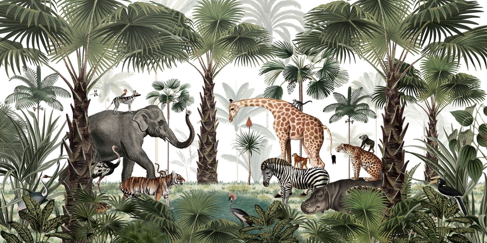 Animal Kingdom, Kikki Belle