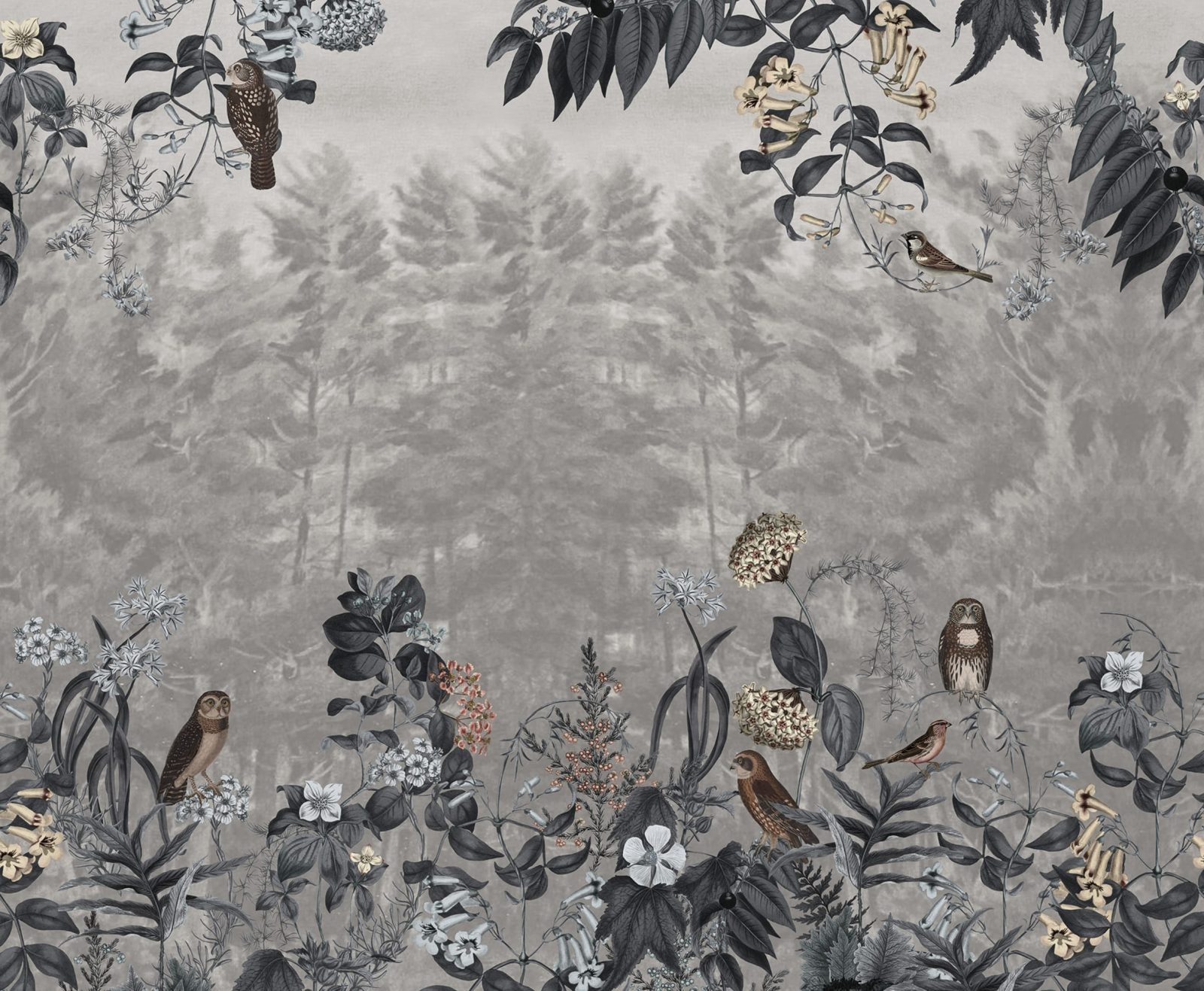 Owl Forest, Gray, Rebel Walls