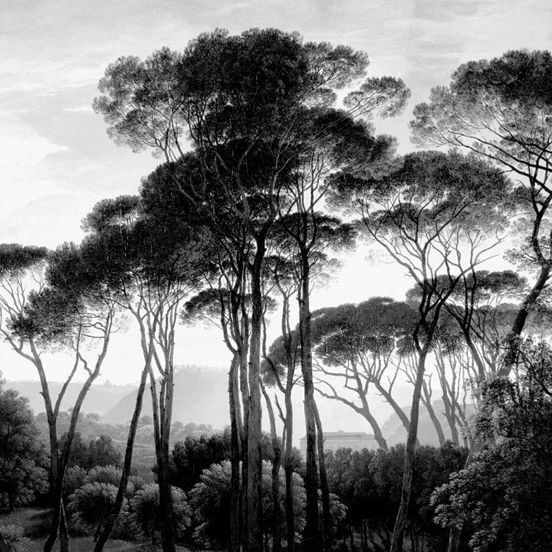 Taormina Pines, VLAdiLA