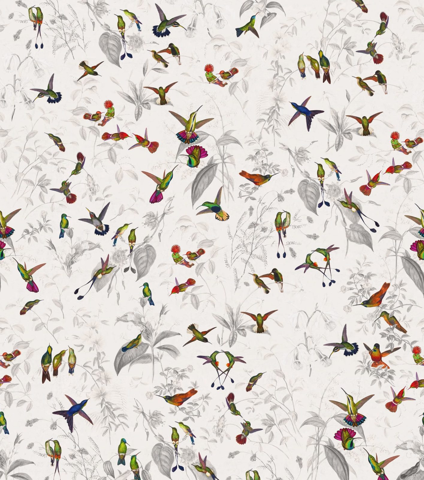 Hummingbird, Light, Rebel Walls