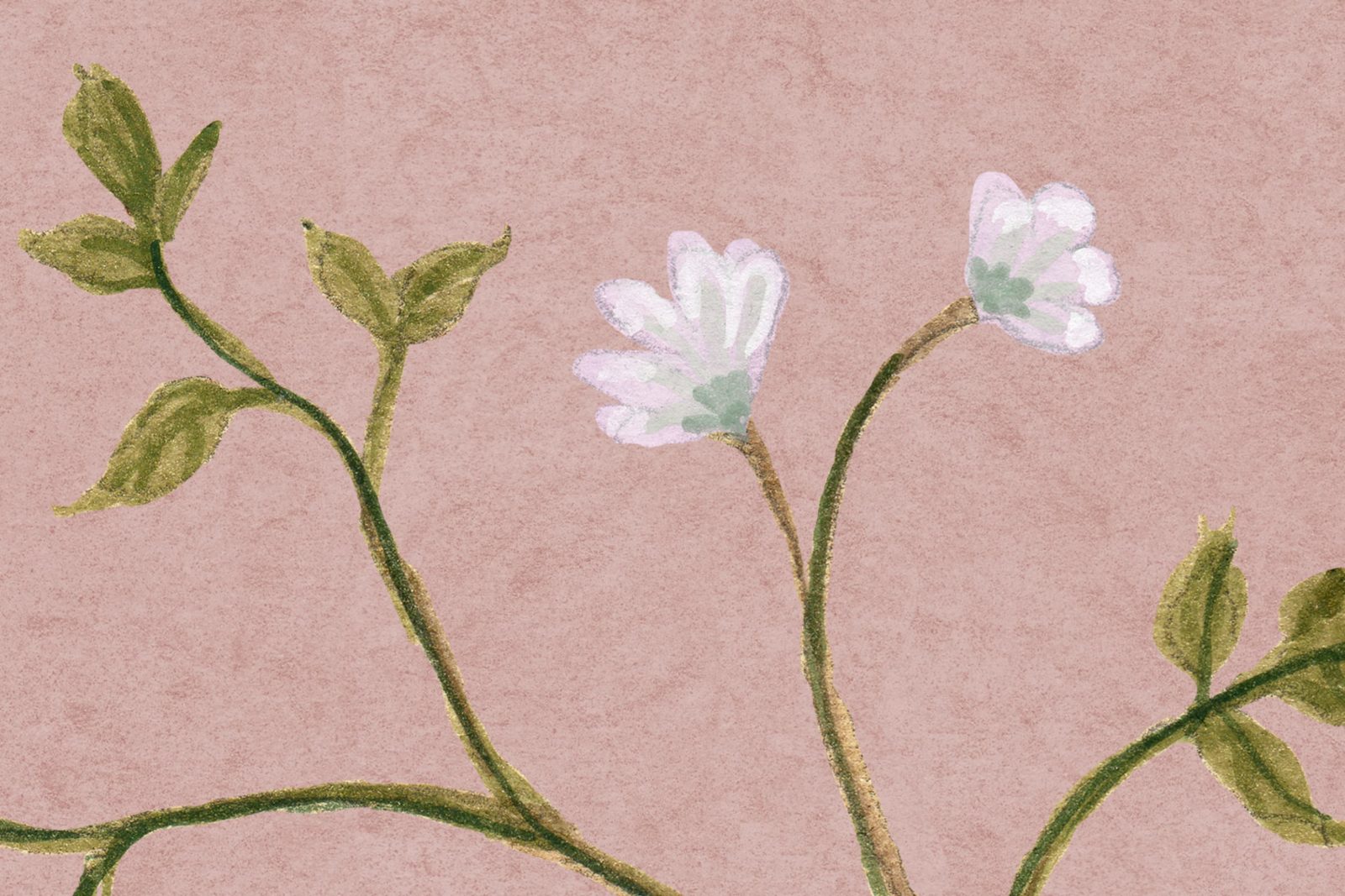 Songbird Mural, Pink, Rebel Walls 4
