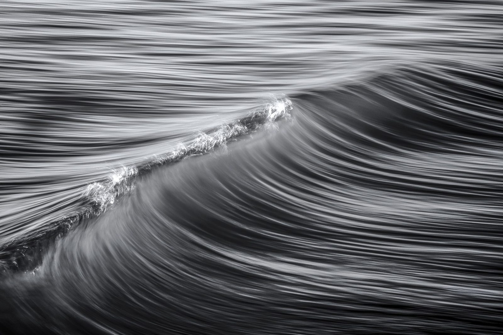 Graphic Wave, Rebel Walls