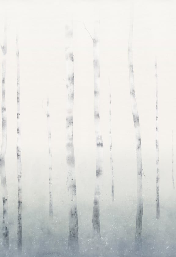 Sundborn, Winter, Sandberg