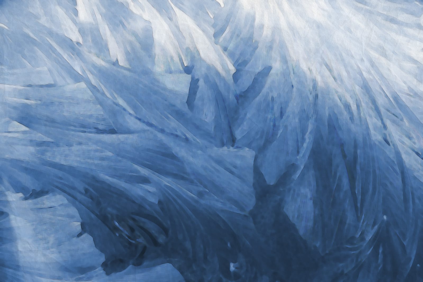 Feathers, Rebel Walls