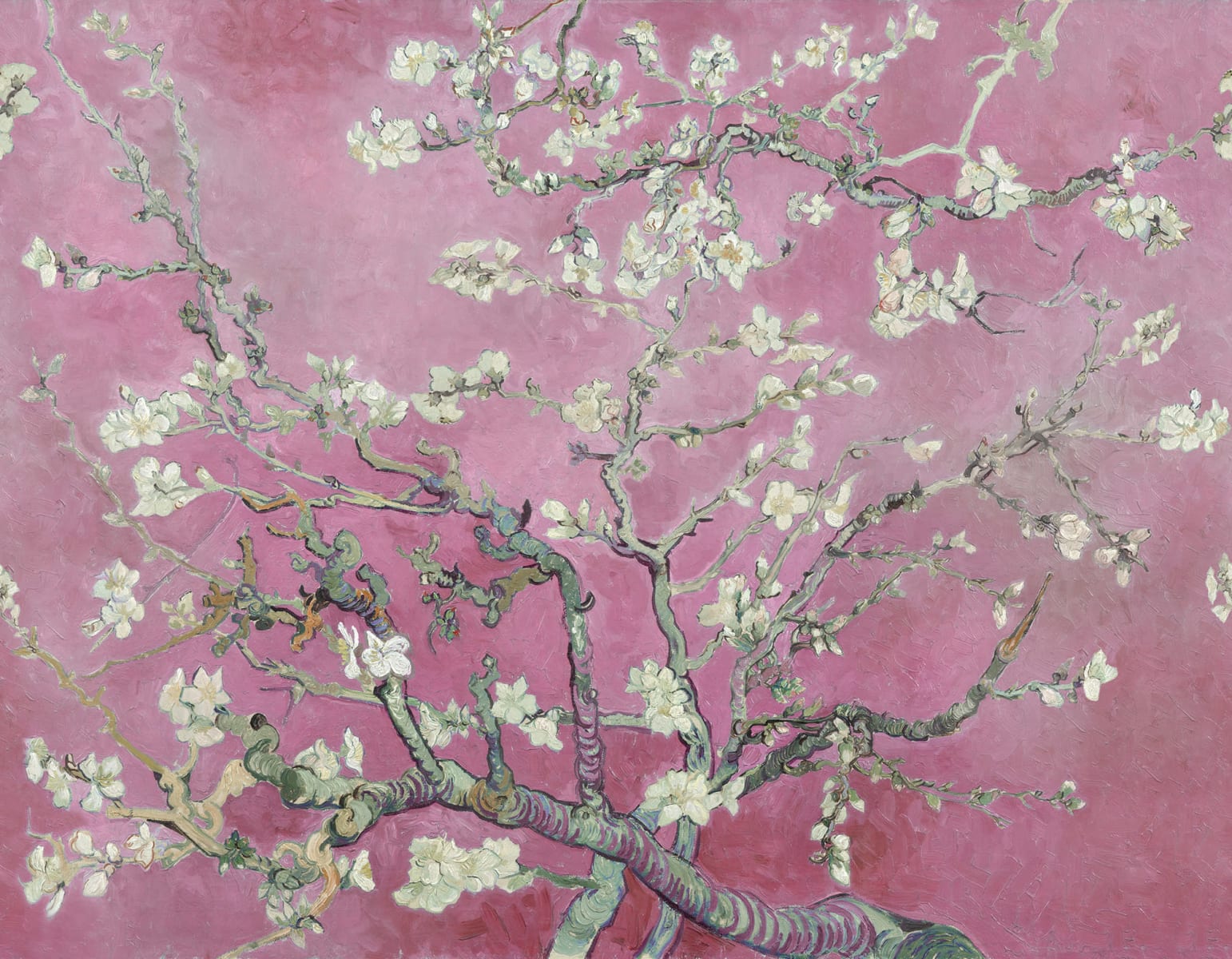 Almond Blossom, Pink, Rebel Walls