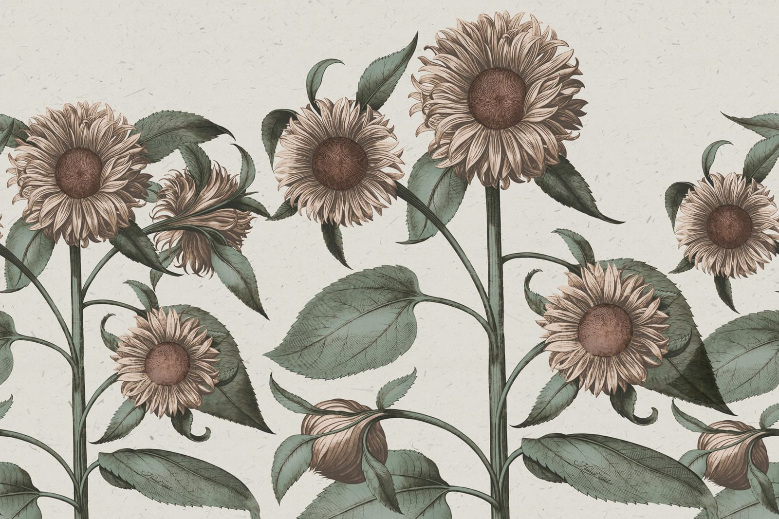 Sunflower, Peach, Rebel Walls