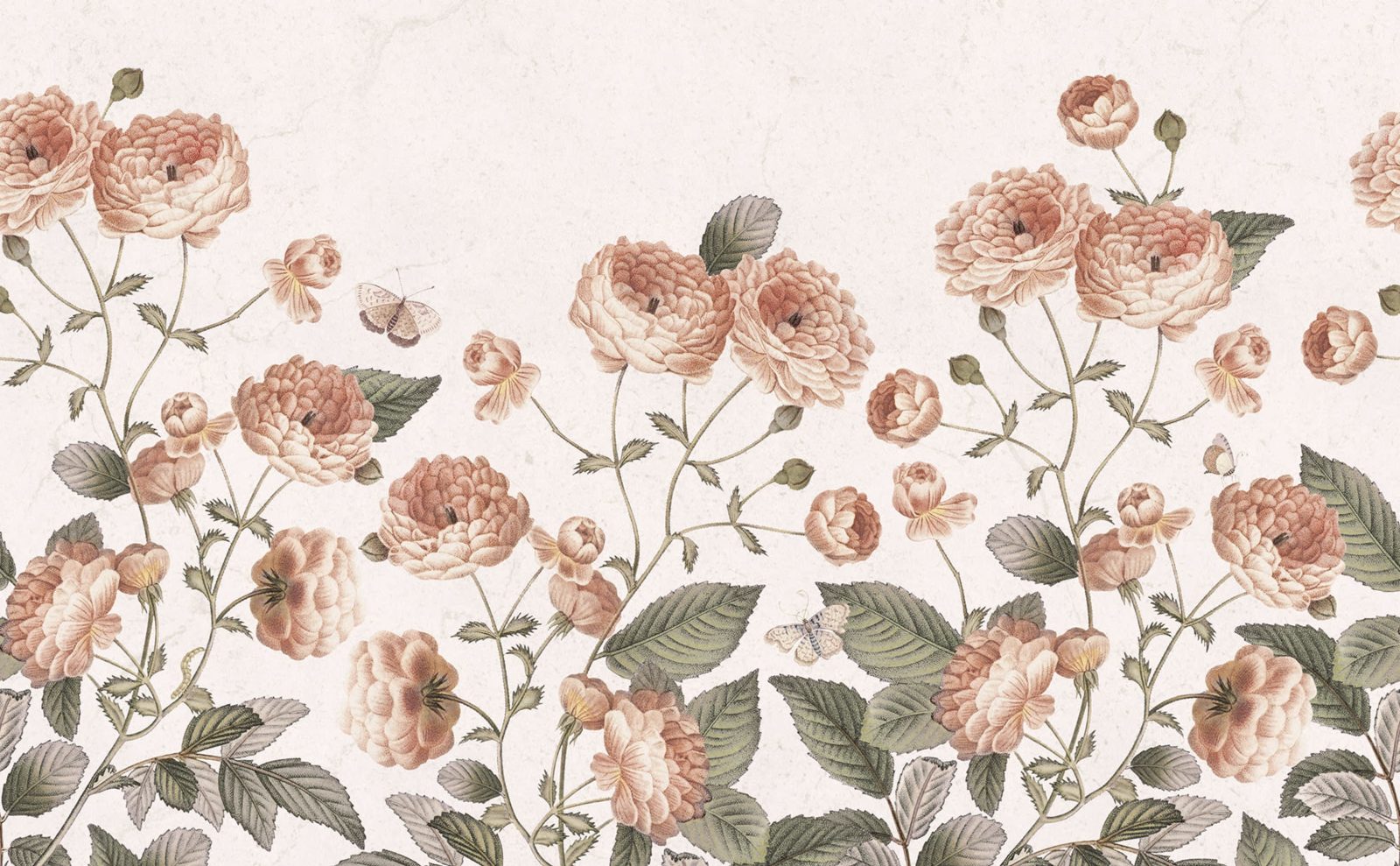 Sweet Buttercups, Soft, Rebel Walls