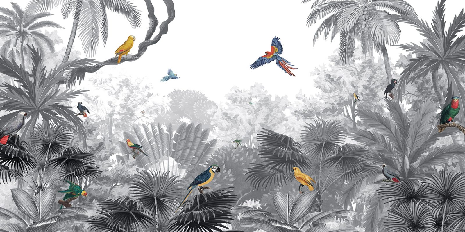 Canopy Jungle - Black and White, Kikki Belle