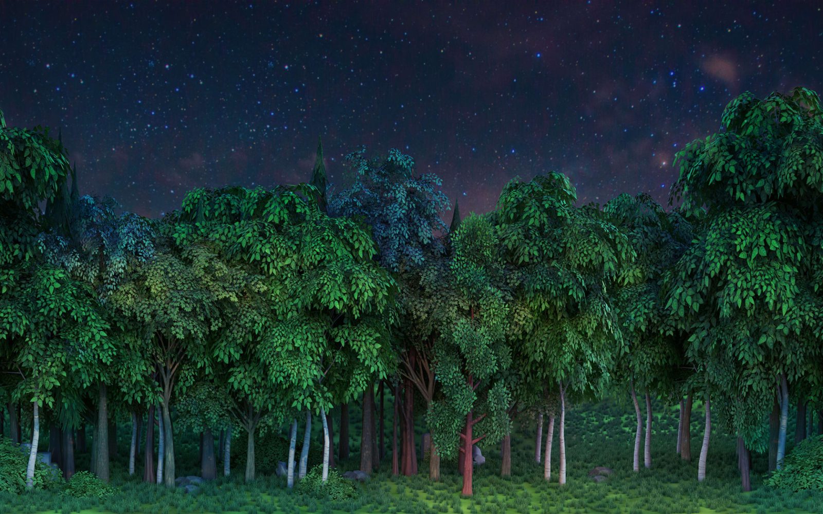 Gaming Woods, Night, Rebel Walls