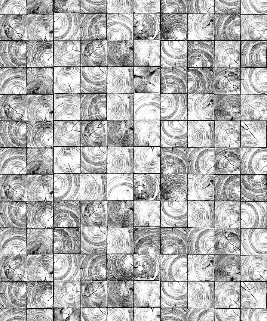 Age Rings, Rebel Walls