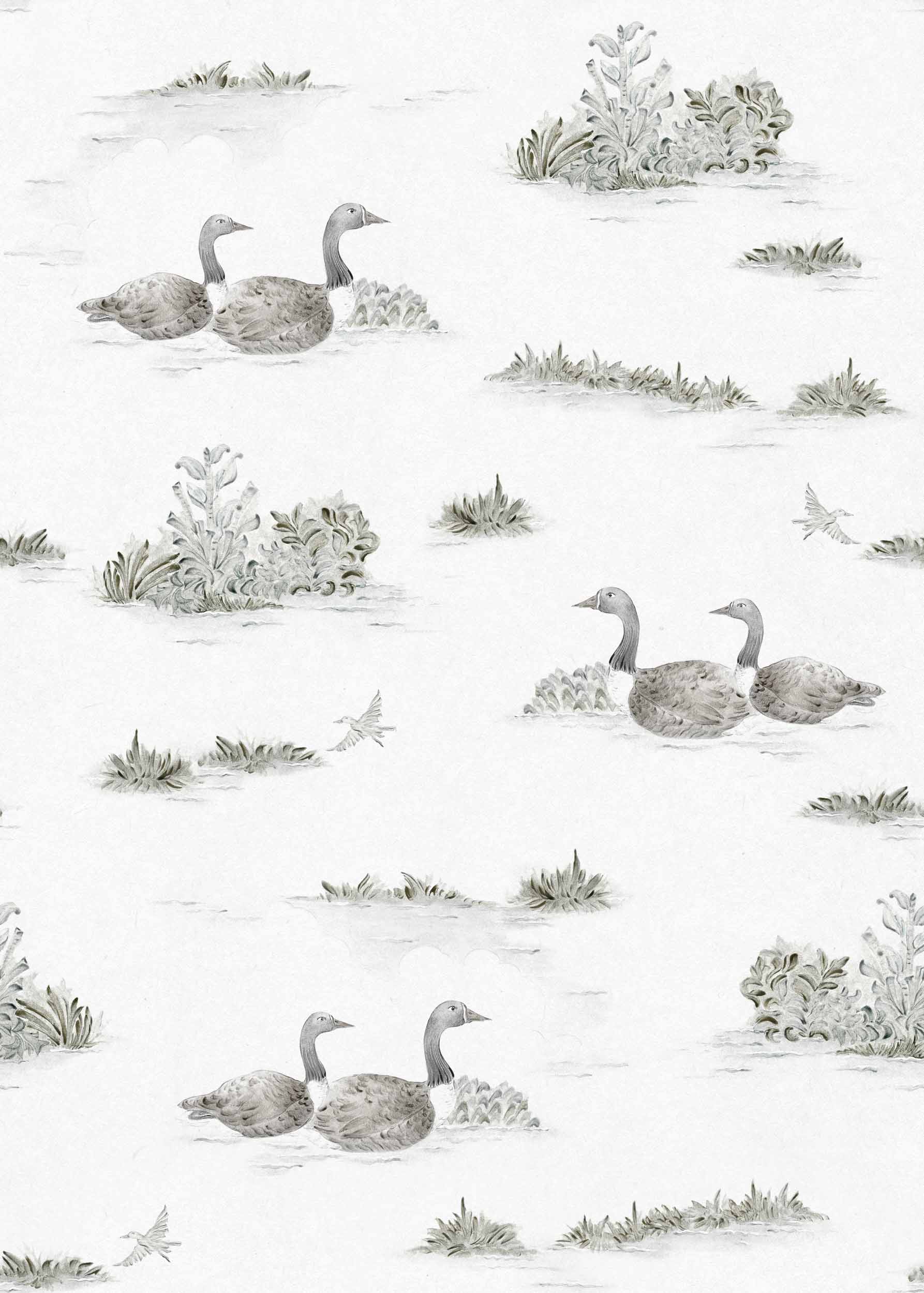 Mallard-Duck, Silver, Coordonne, 5mp / rola