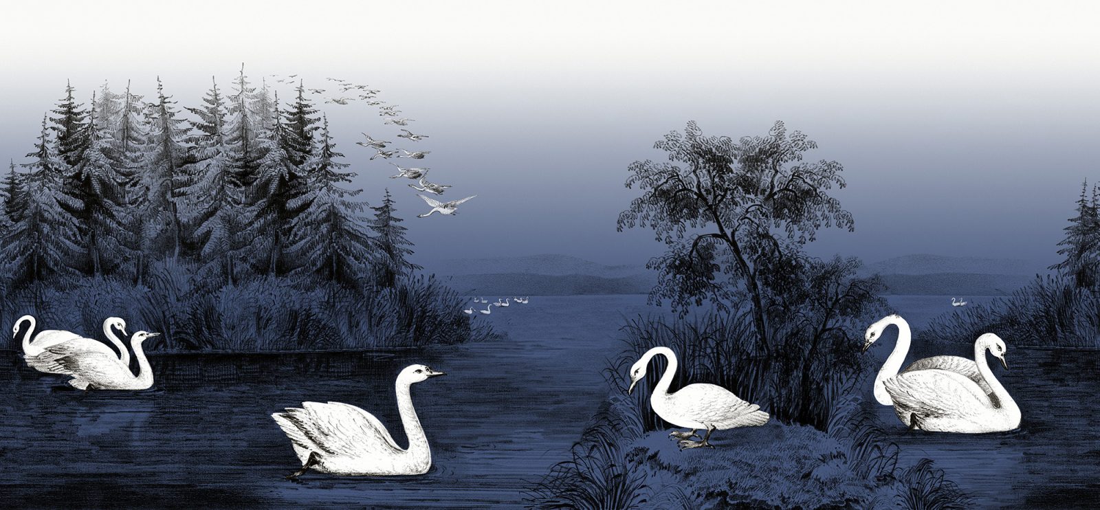 Swan Lake, Nightfall, Rebel Walls