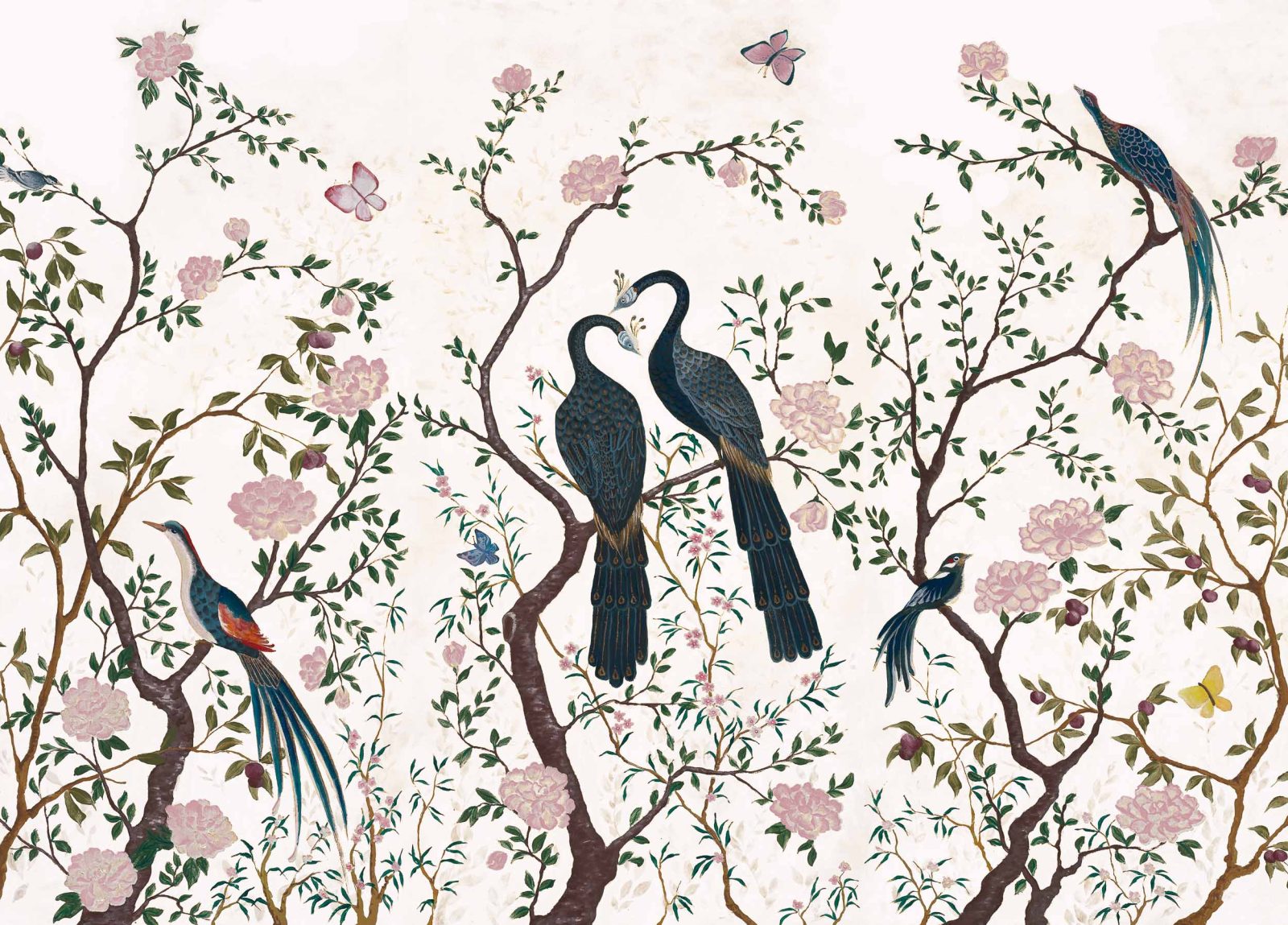 Edo, Swan, Coordonne