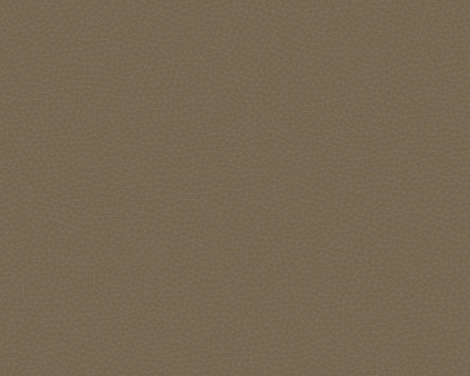 Chic Leather, 64788016, Coordonne