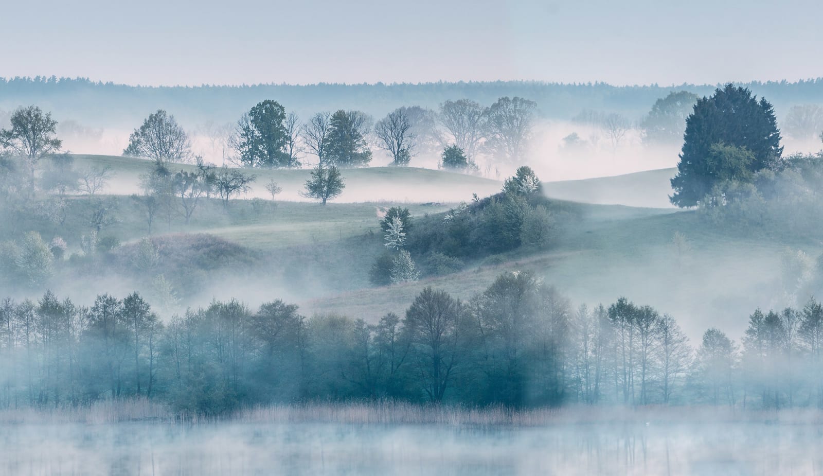 Morning Haze, Rebel Walls