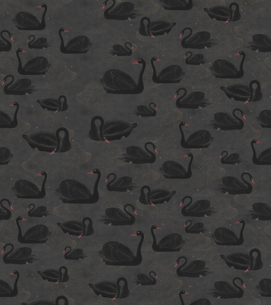 Cygne, Noir, Rebel Walls