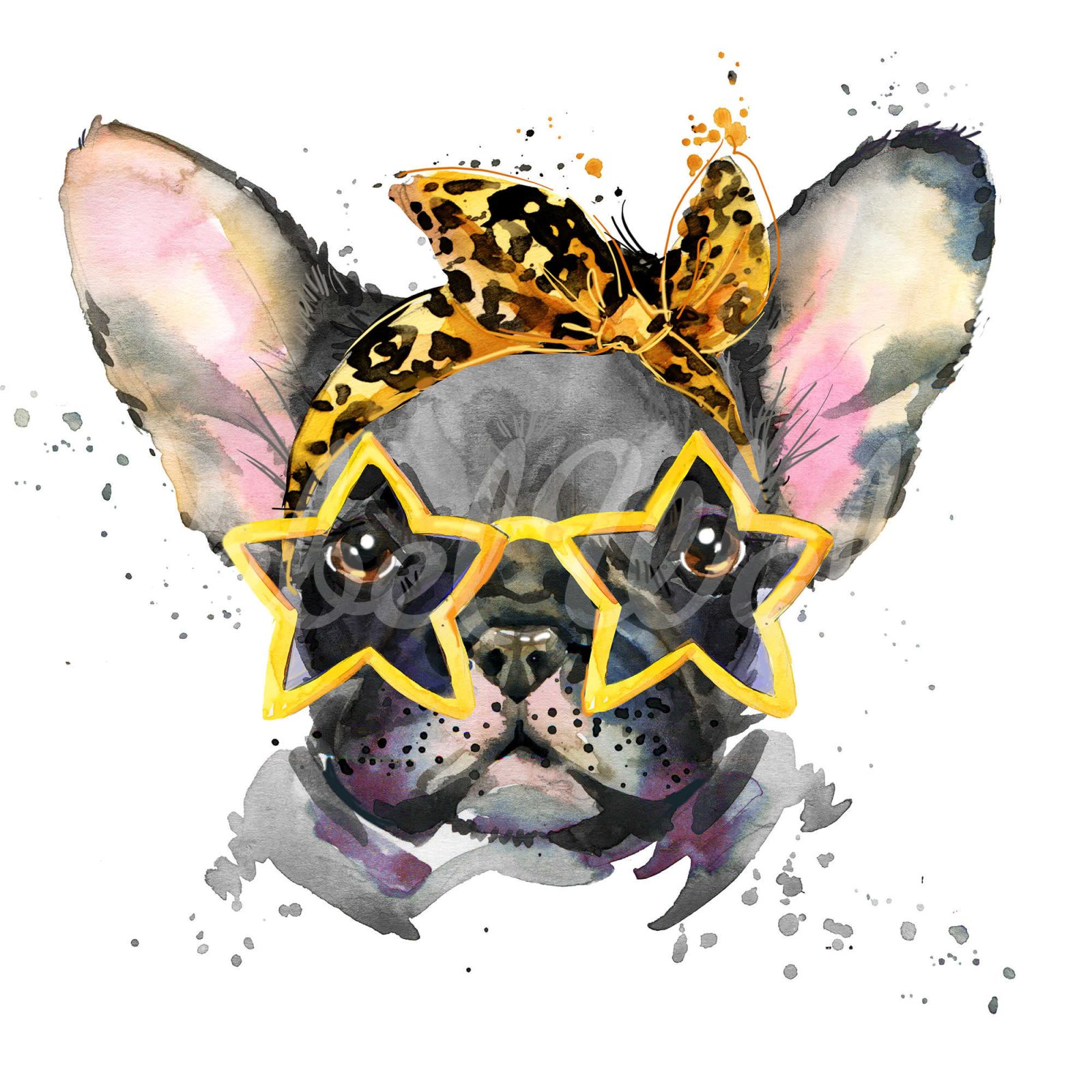French Bulldog, Rebel Walls
