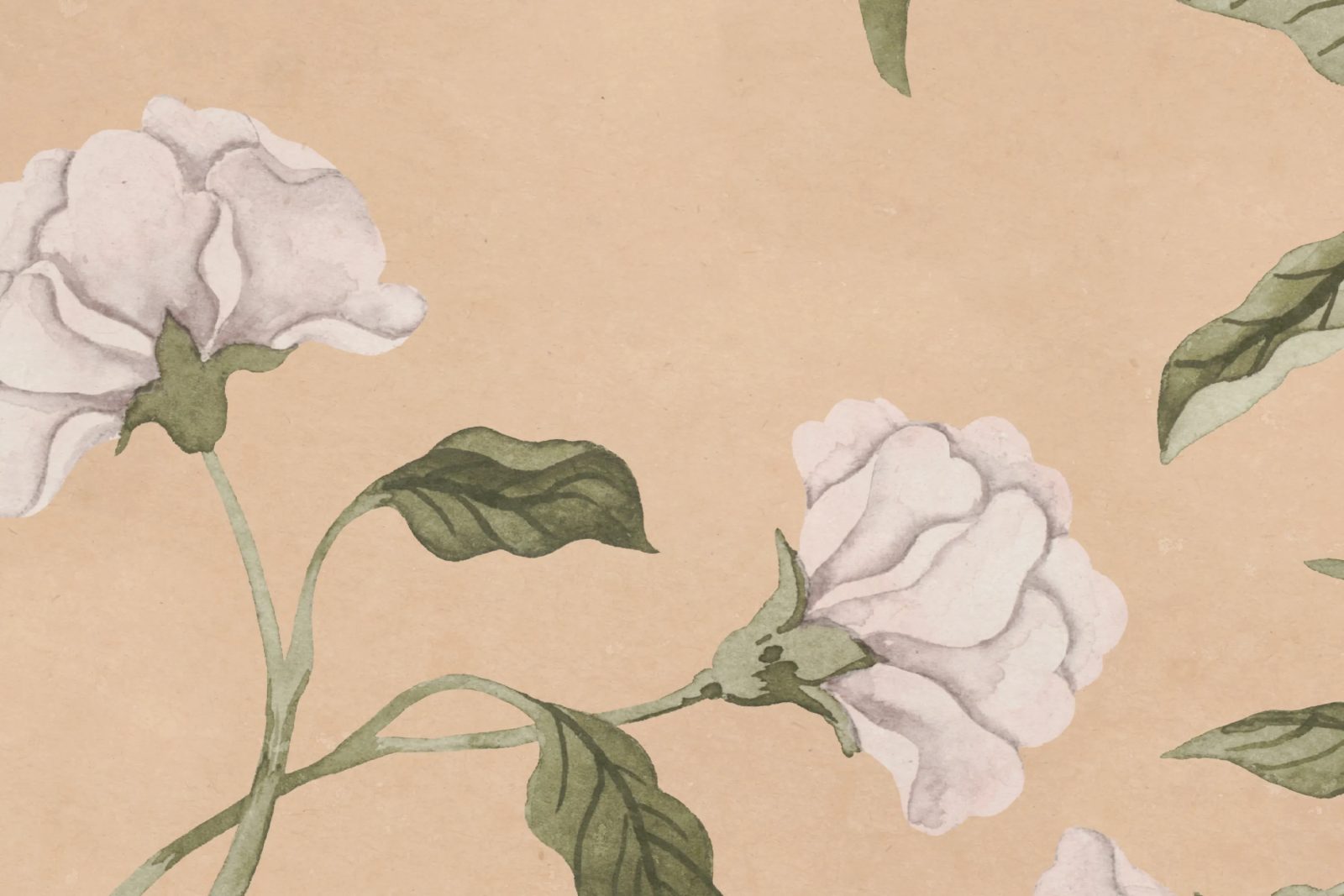 Peony Bloom, Peach, Rebel Walls 4