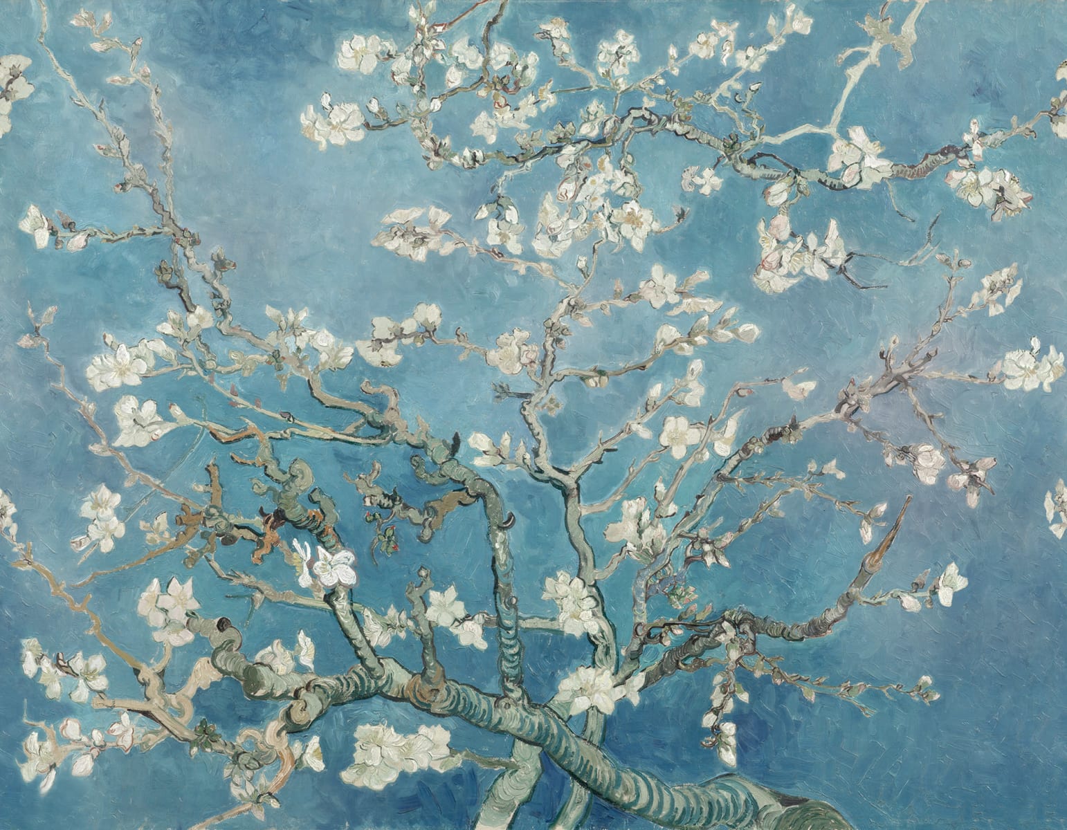 Almond Blossom by Van Gogh, Rebel Walls
