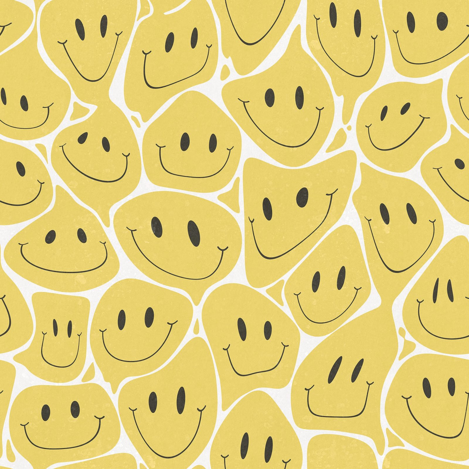Happy Rebel Sunshine, Rebel Walls