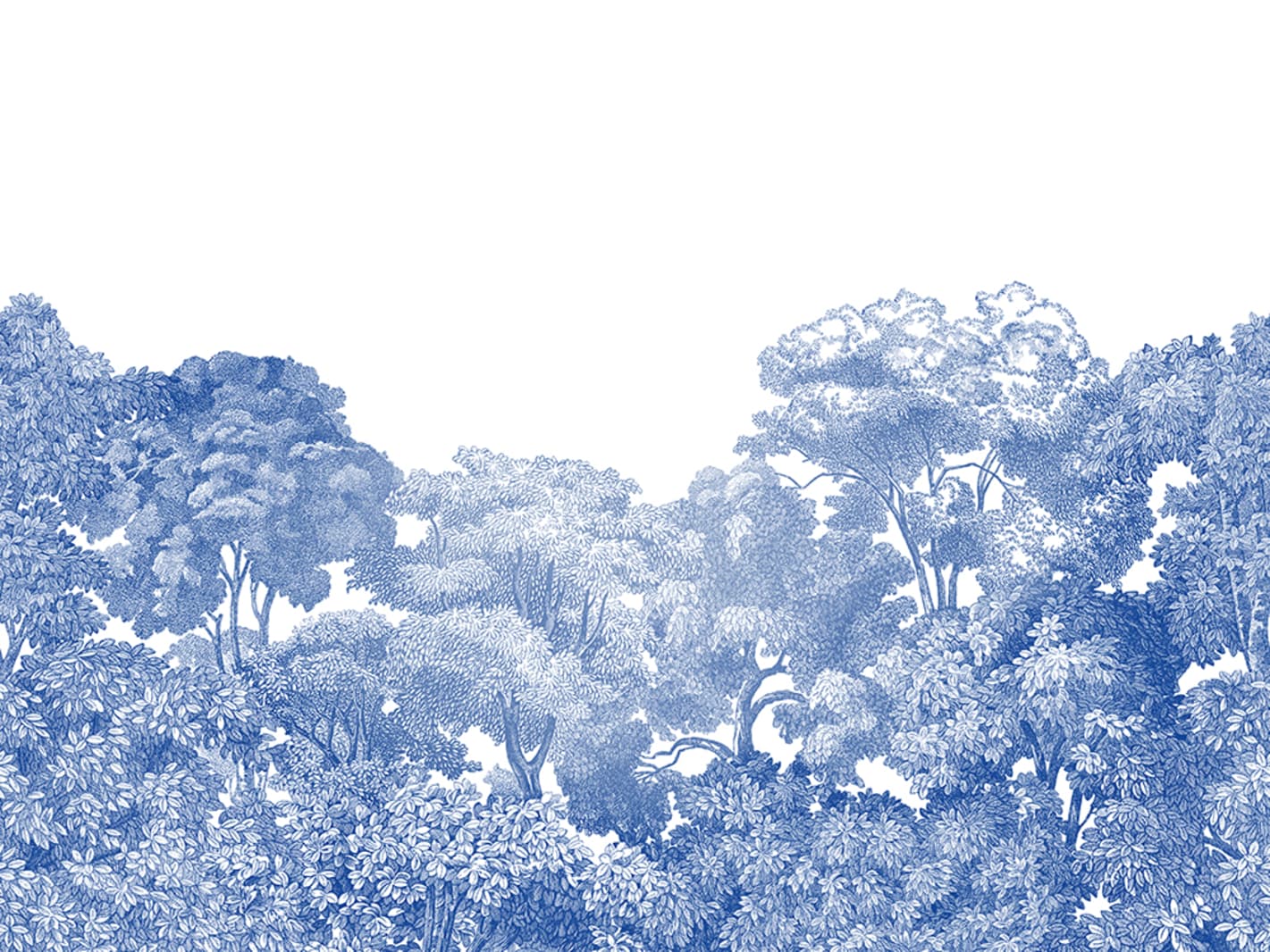 Bellewood, Porcelain Toile, Rebel Walls