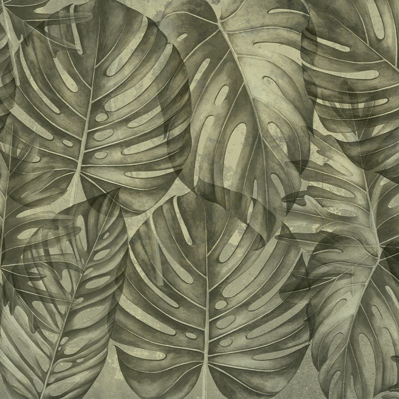 Sepia philodendron, VLAdiLA
