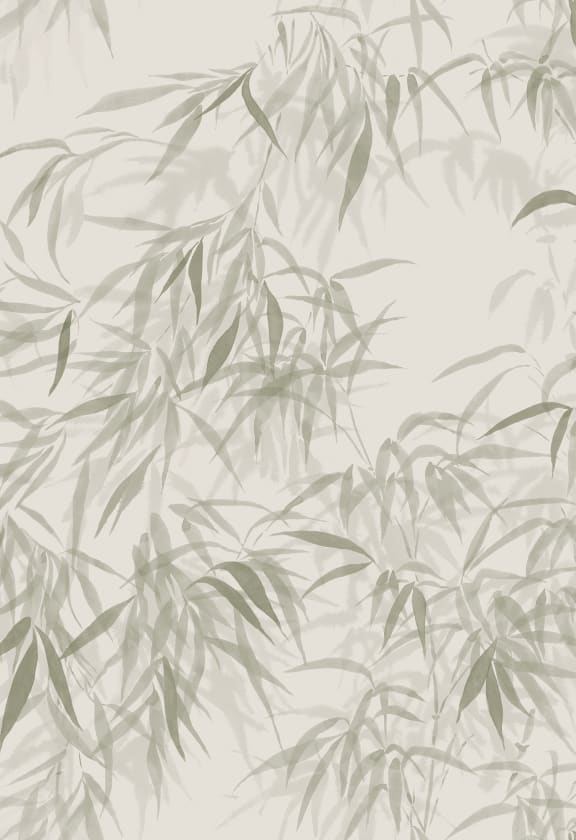 Jon Olive Green, Sandberg, 5.3mp / rola
