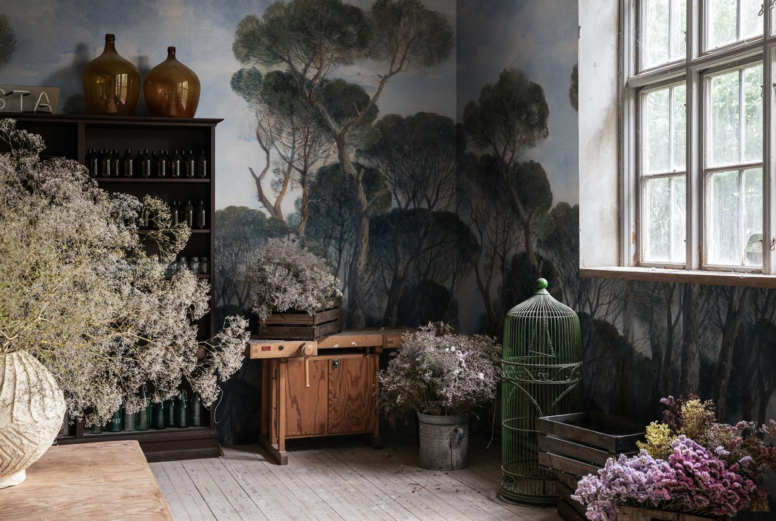 Umbrella Pines, Vintage, Rebel Walls 3