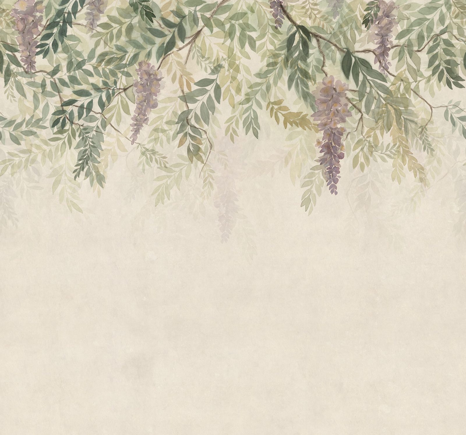 Wisteria, Green, Sandberg