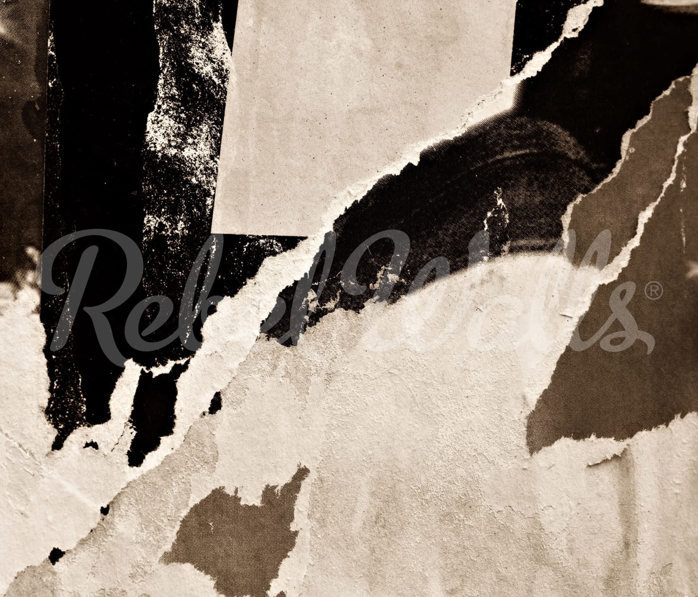 Rip Off, Brown, Rebel Walls