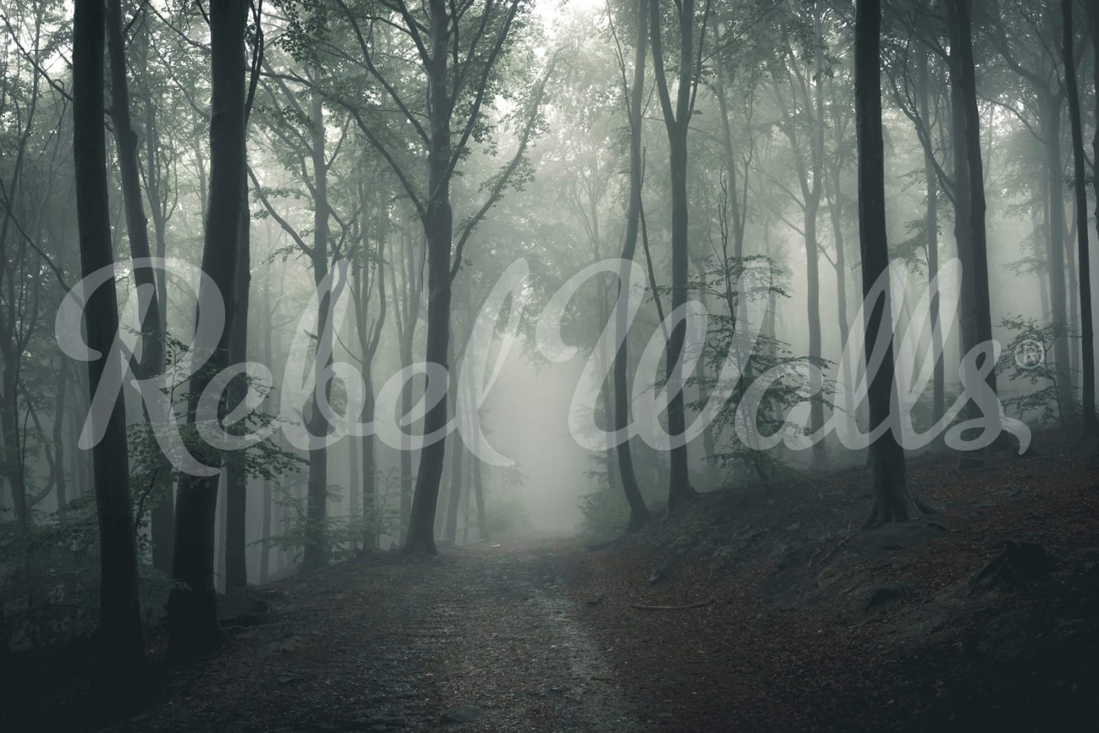 Forest in Fog, Rebel Walls