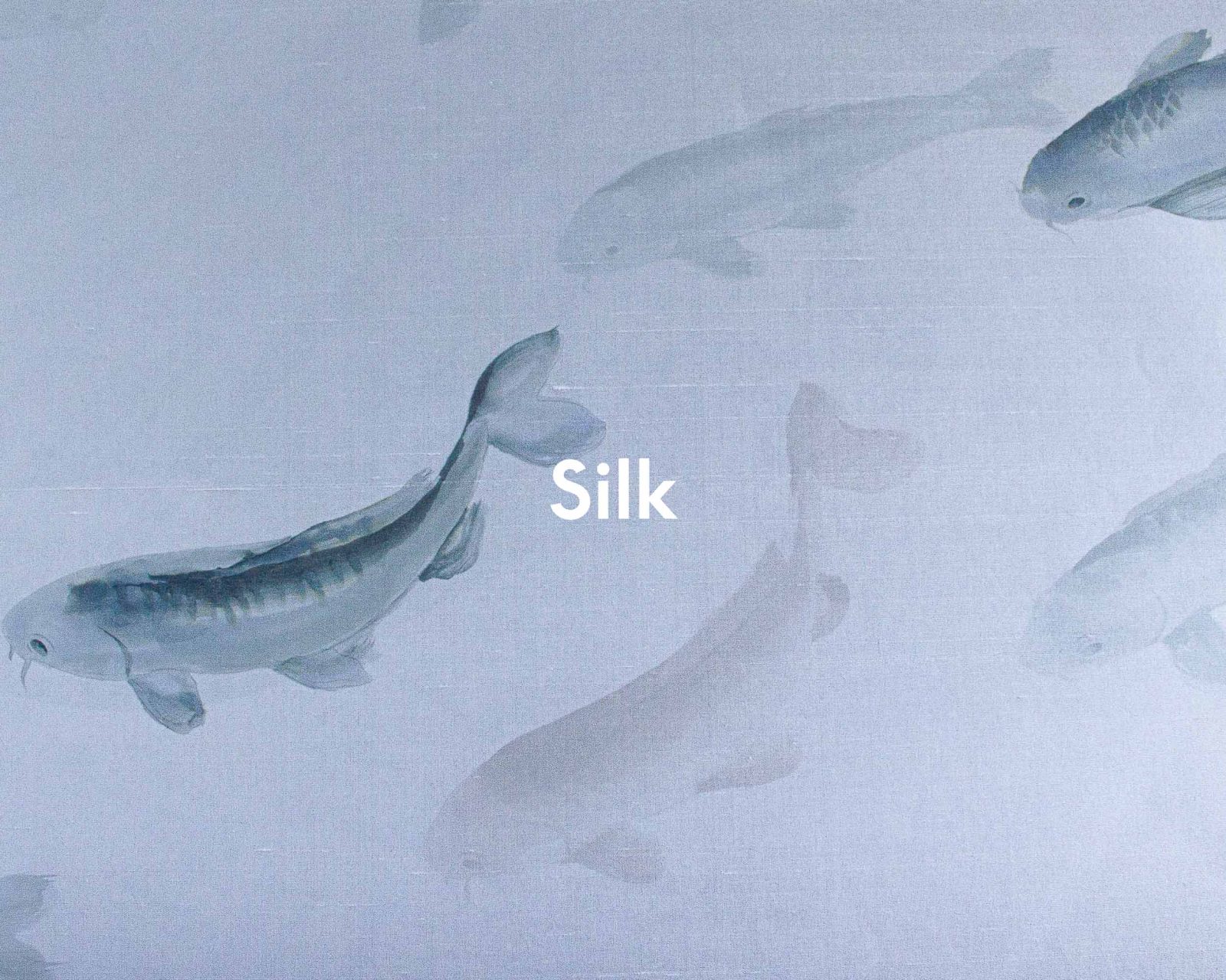 Koi, Swan, Coordonne 5