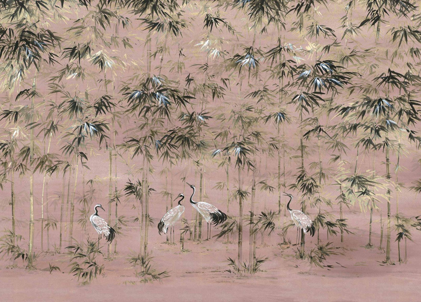 Garzas, Nude, Coordonne