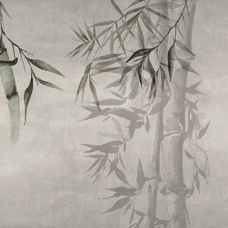 Bamboo Evergreen, VLAdiLA 5