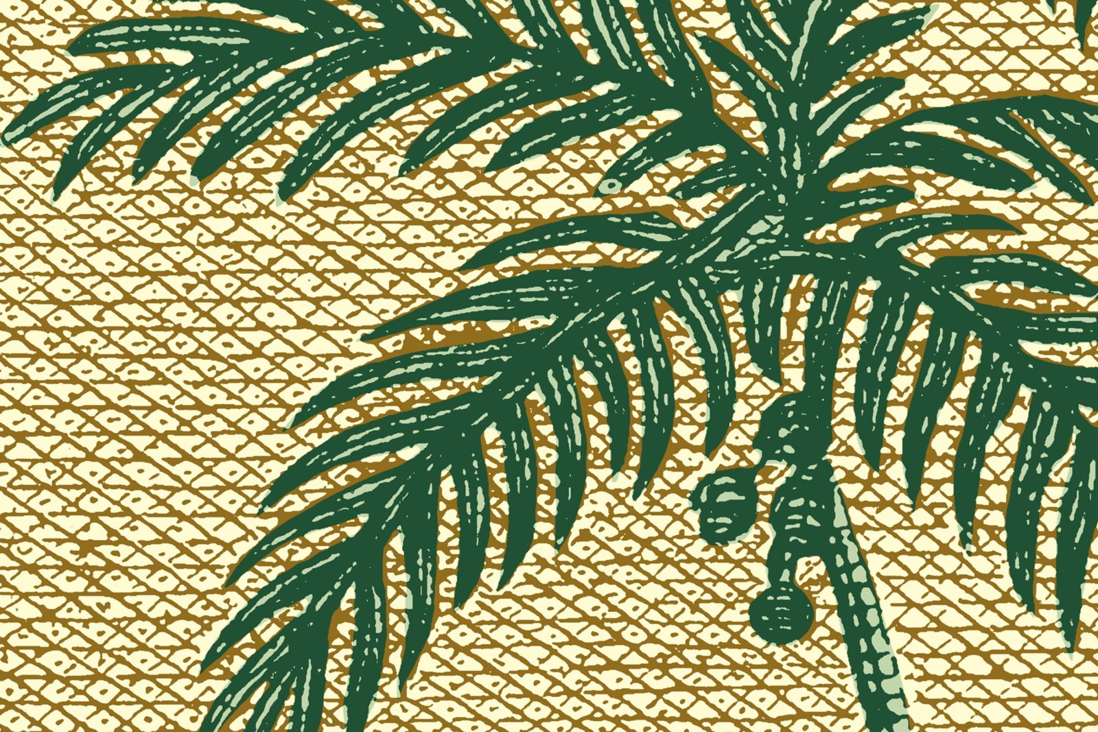 Palm Beach, Yellow, Rebel Walls 4