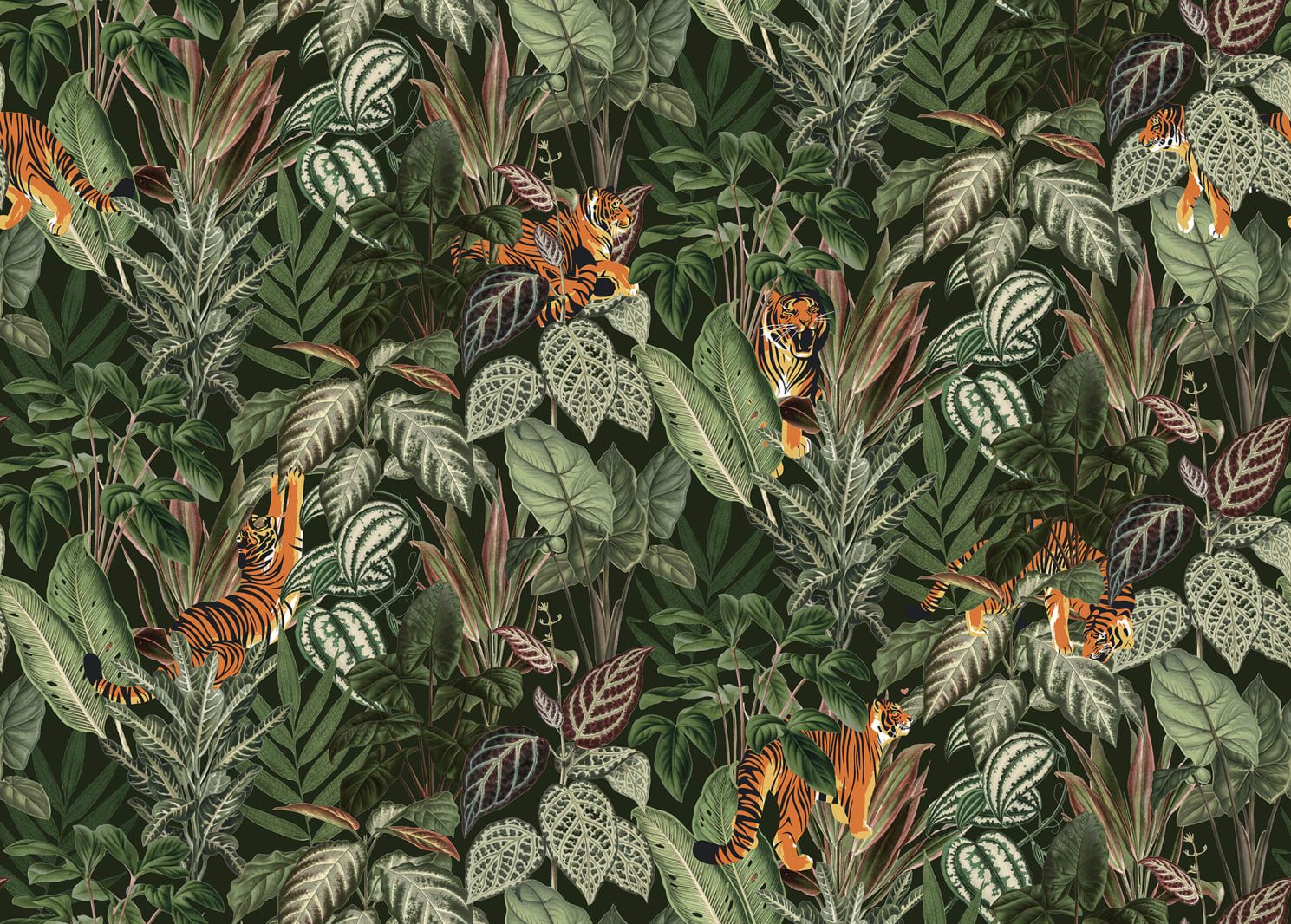 3D Mischievous Tigers, Lush, Rebel Walls