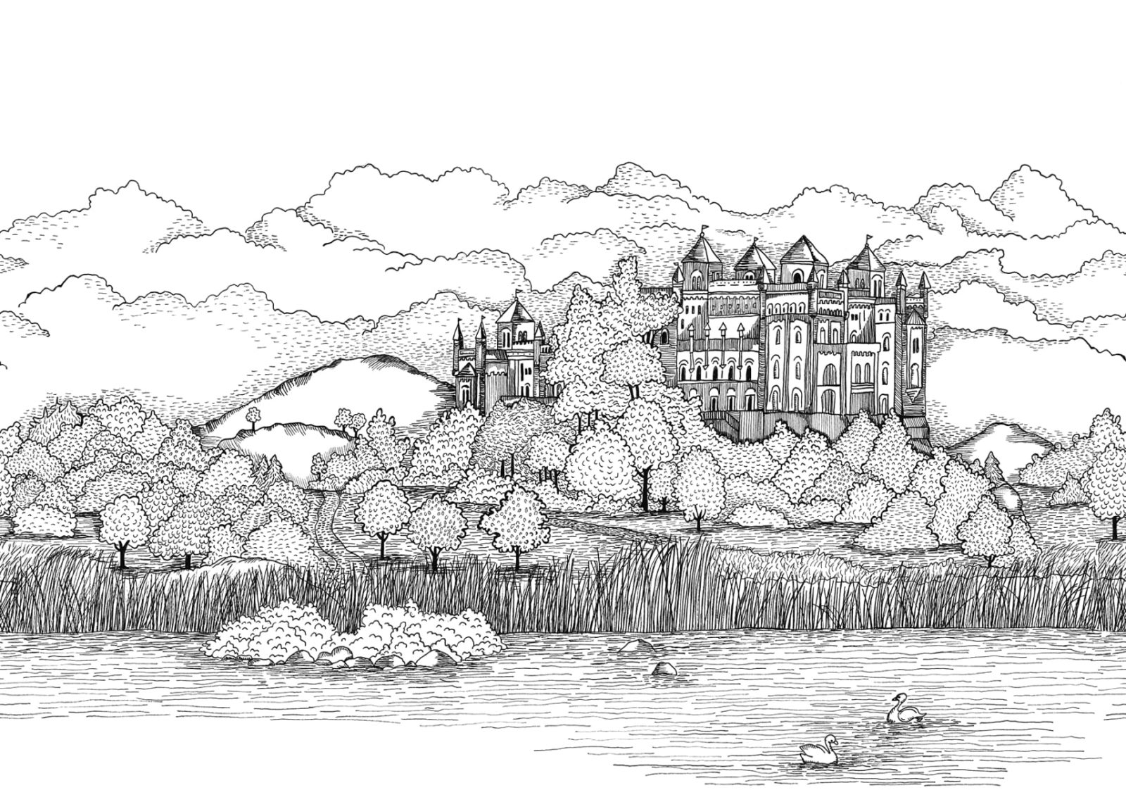 Castle by the Lake, Black & White, Rebel Walls