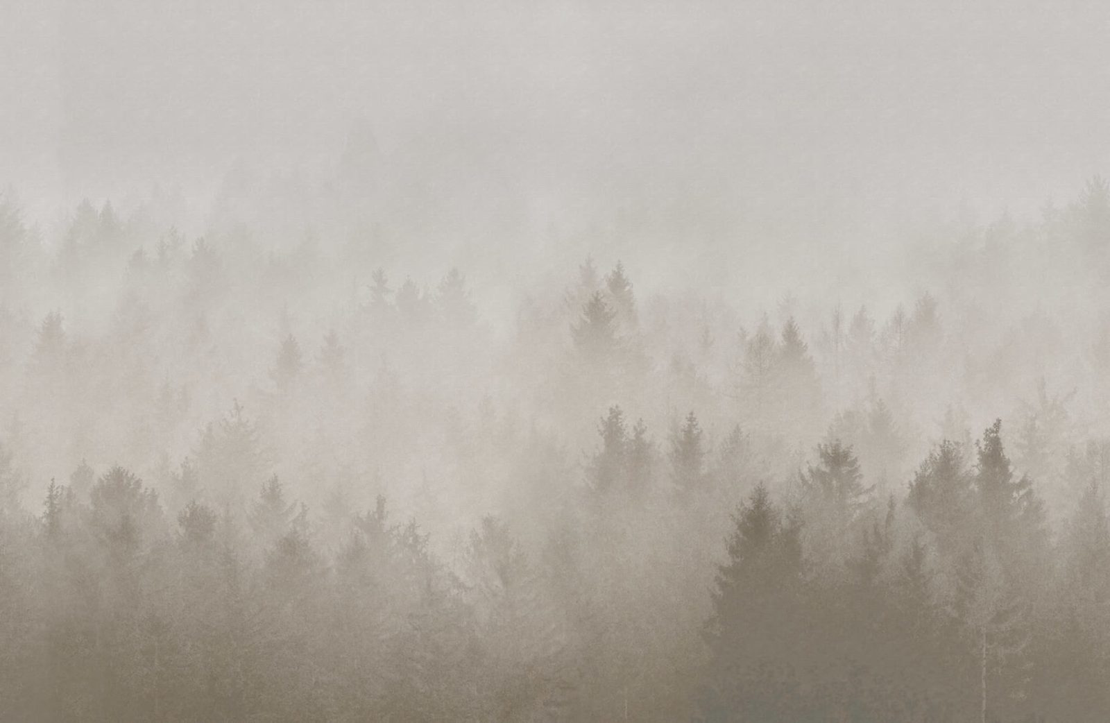 Cloudy Forest, Beige, Rebel Walls