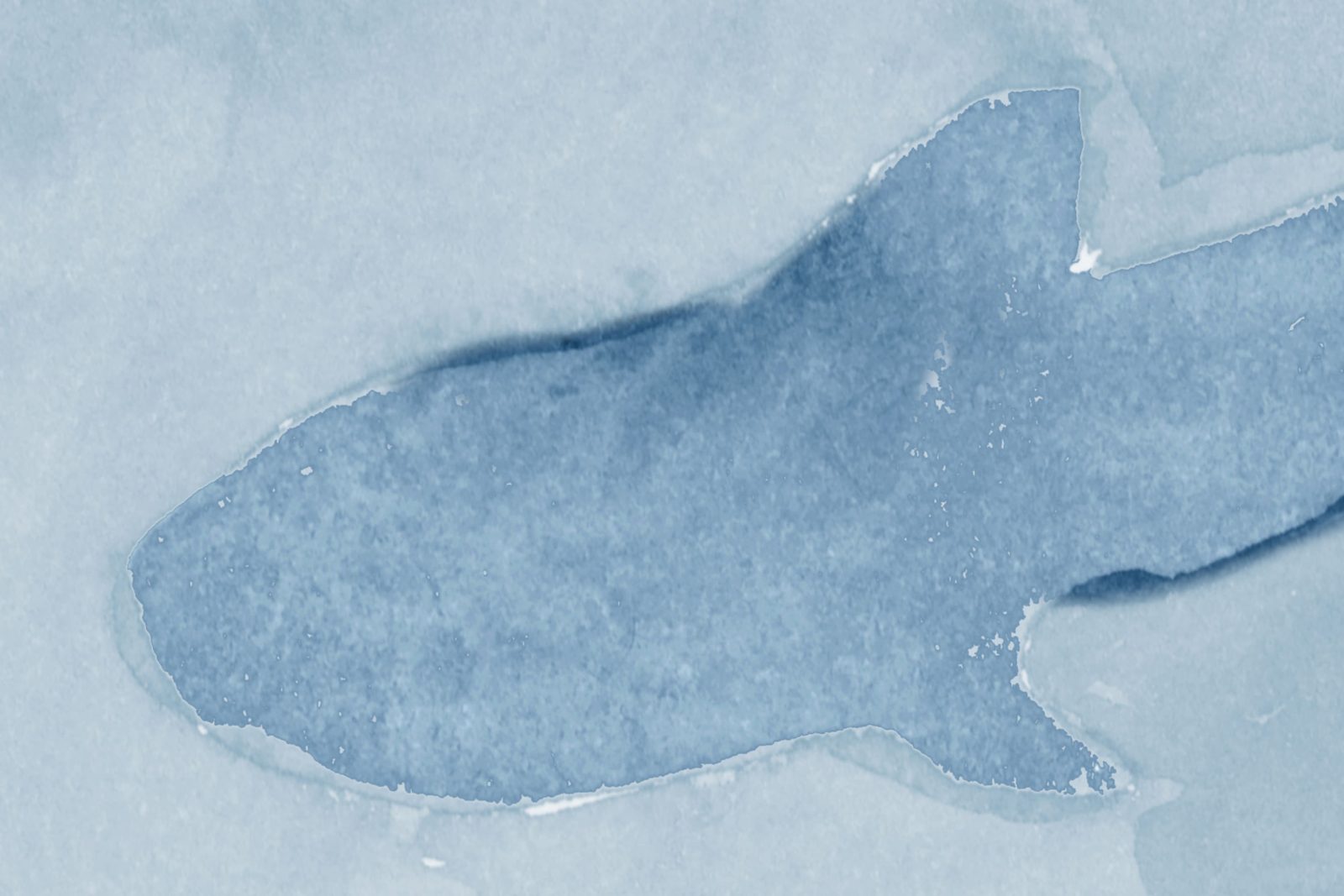 Silent Stream, Light Blue, Rebel Walls 4