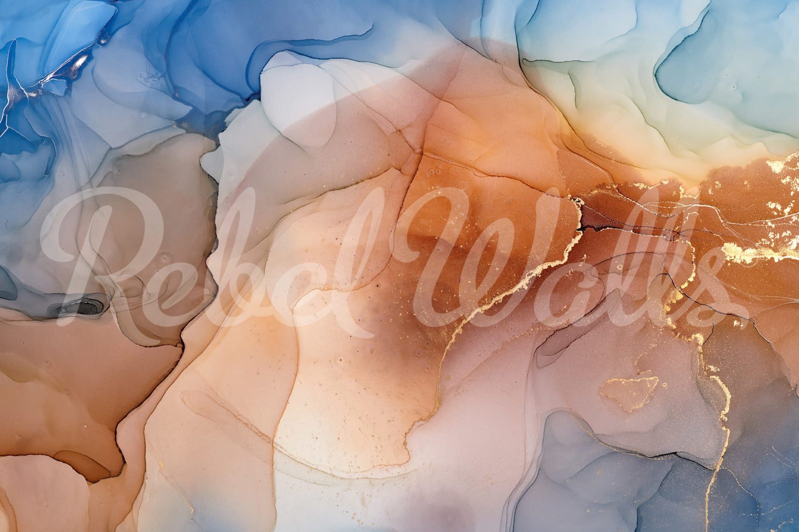 Colors in Harmony, Coral, Rebel Walls