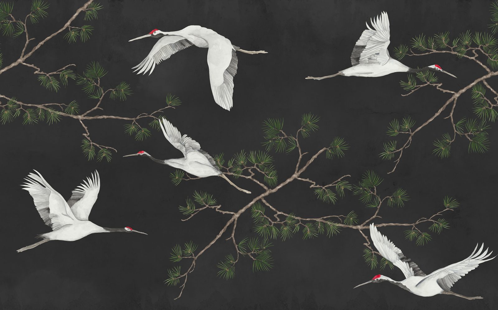 Majestic Cranes, Black, Rebel Walls