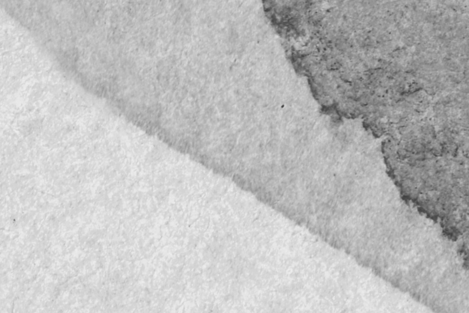 Petals, Graphite, Rebel Walls 4