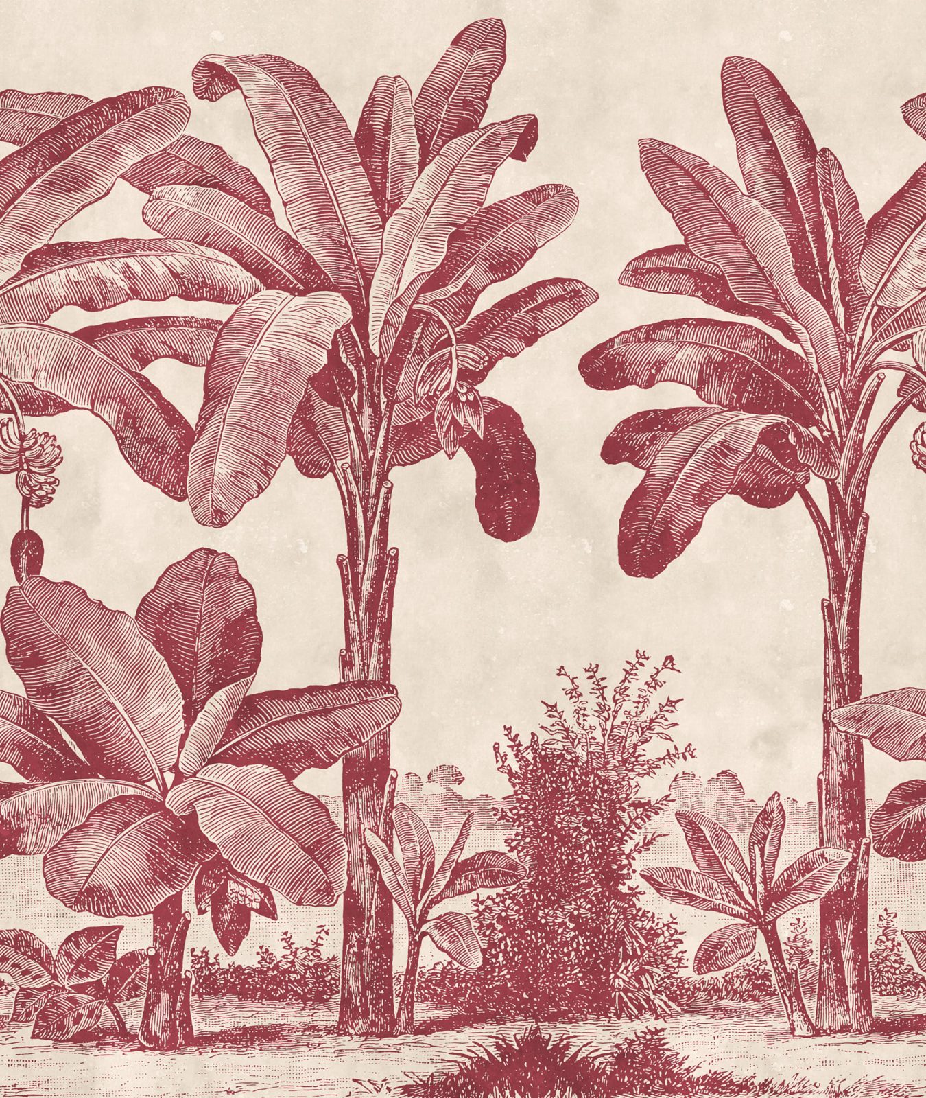 Timeless Tropics, Red, Rebel Walls