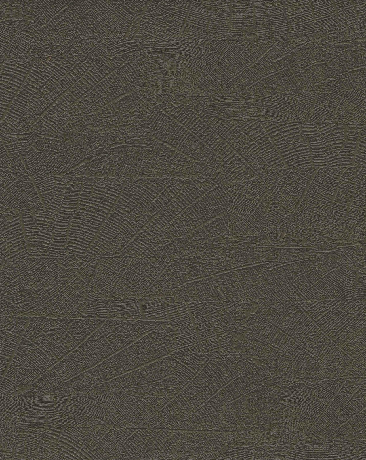 Organic, 6461571, Coordonne