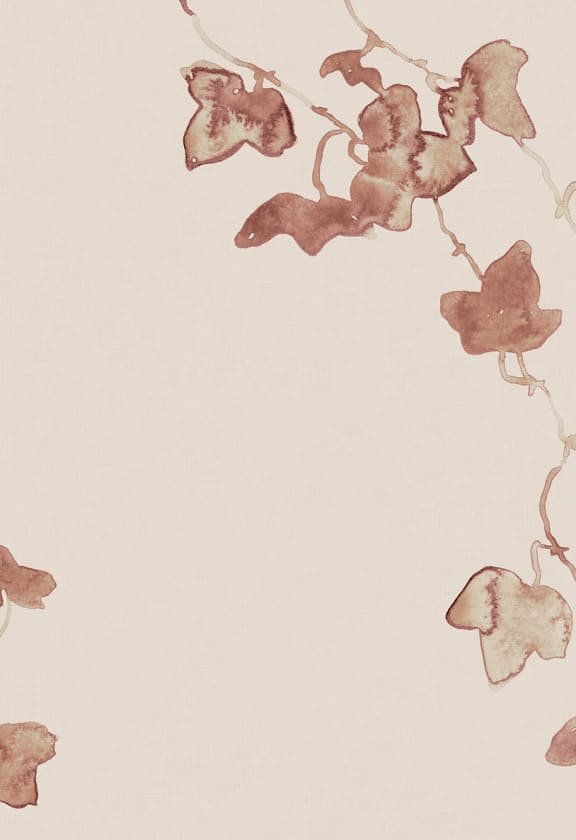Aralia, Burgundy, Sandberg 4